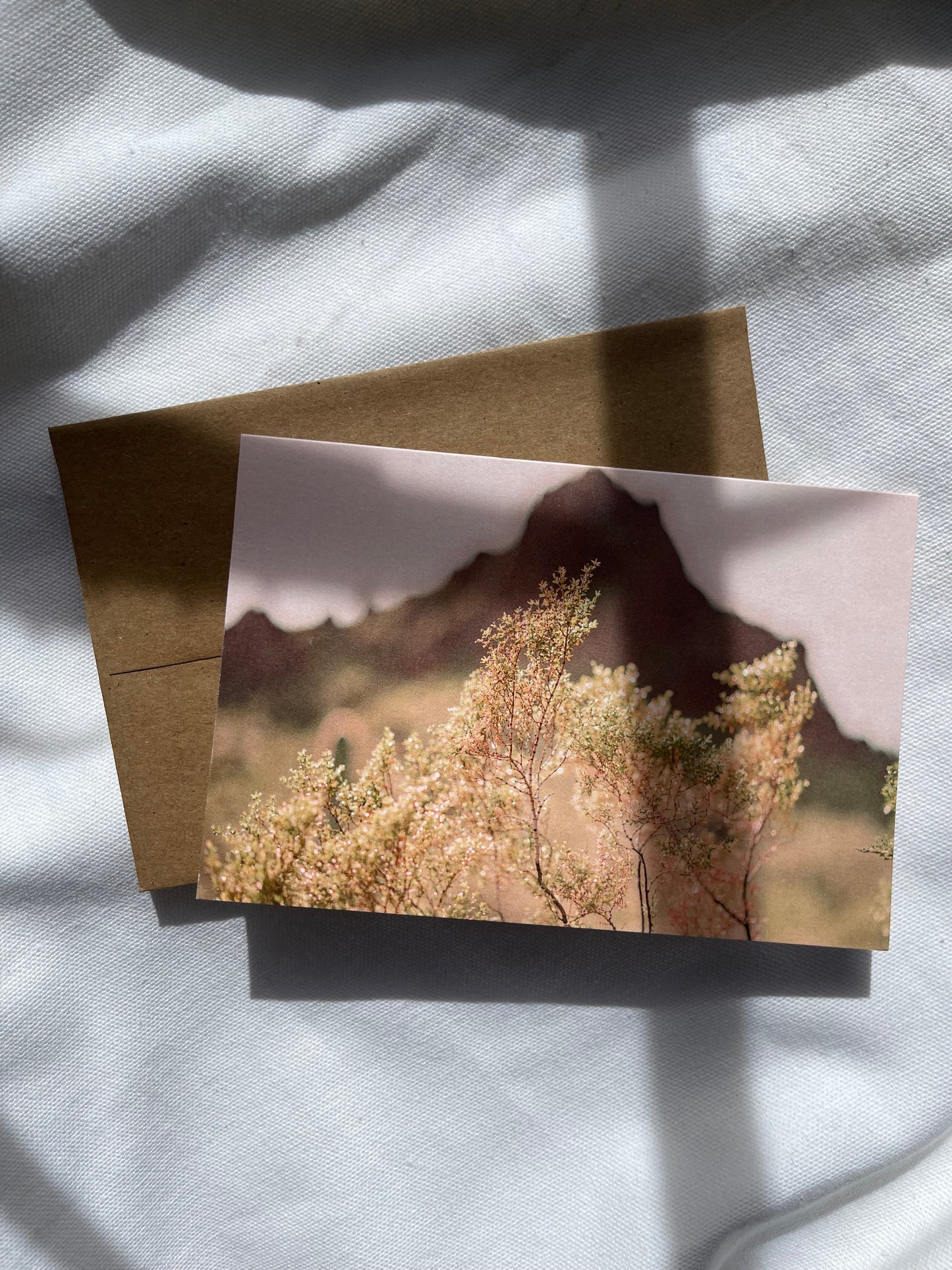 sonoran desert cards | multiple options