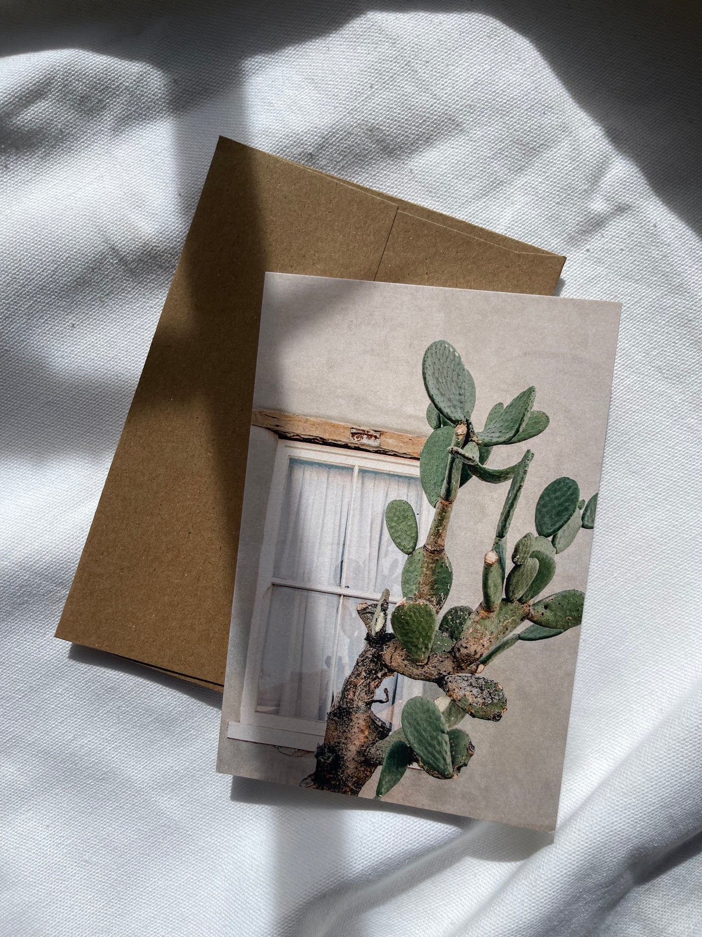 sonoran desert cards | multiple options