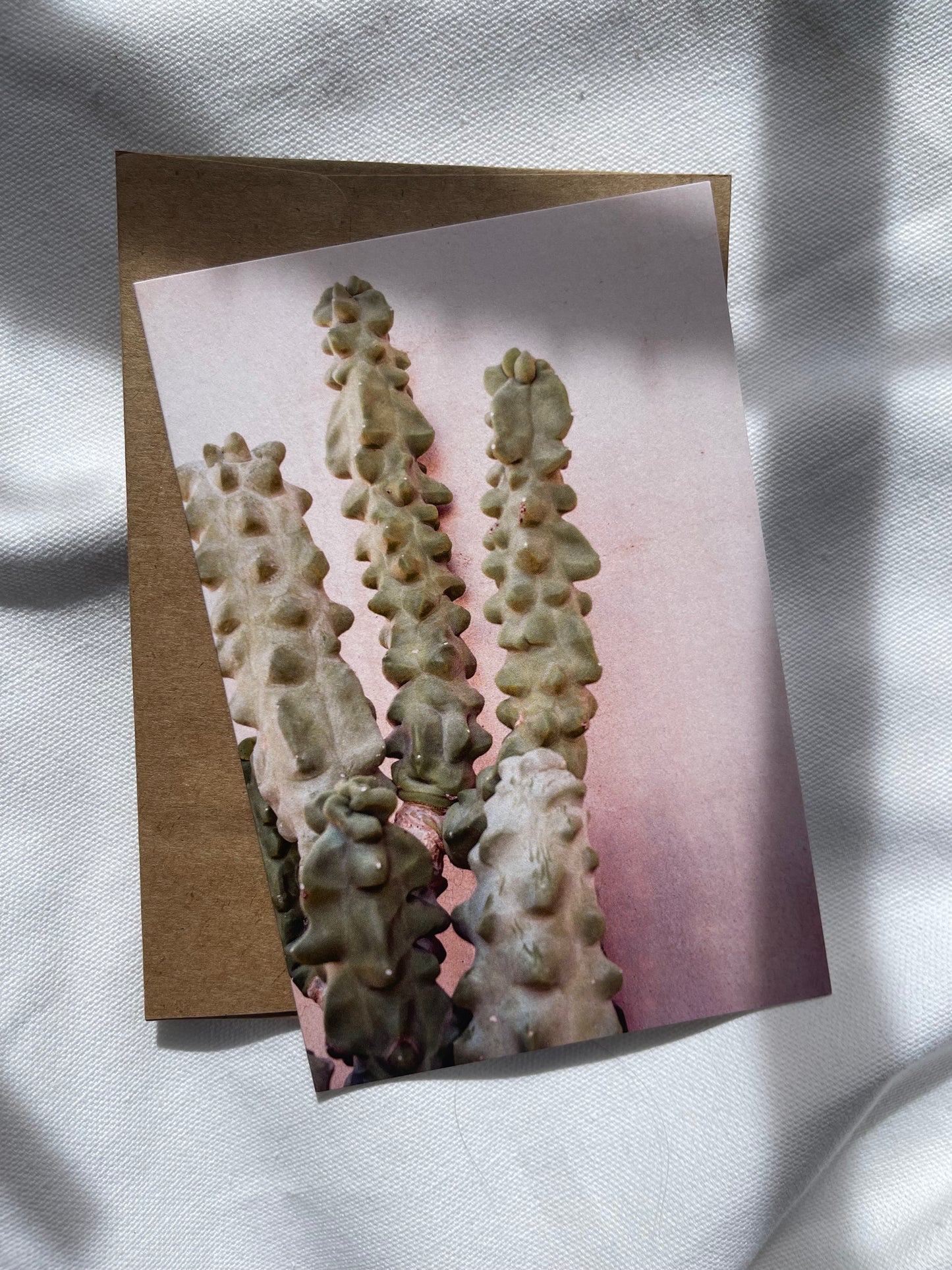 sonoran desert cards | multiple options