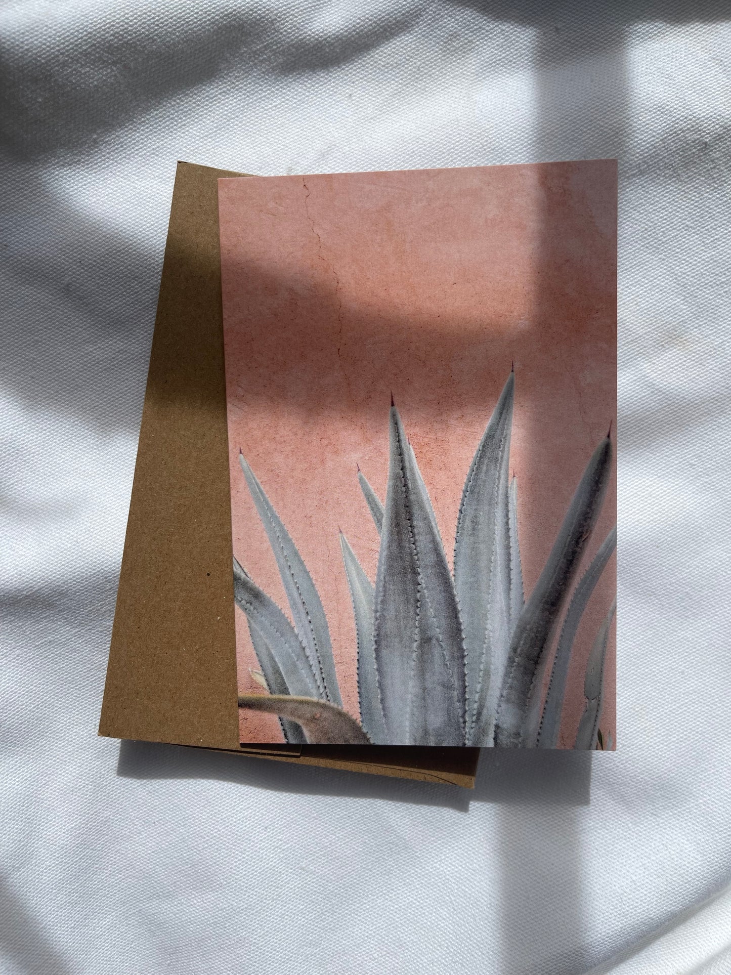 sonoran desert cards | multiple options