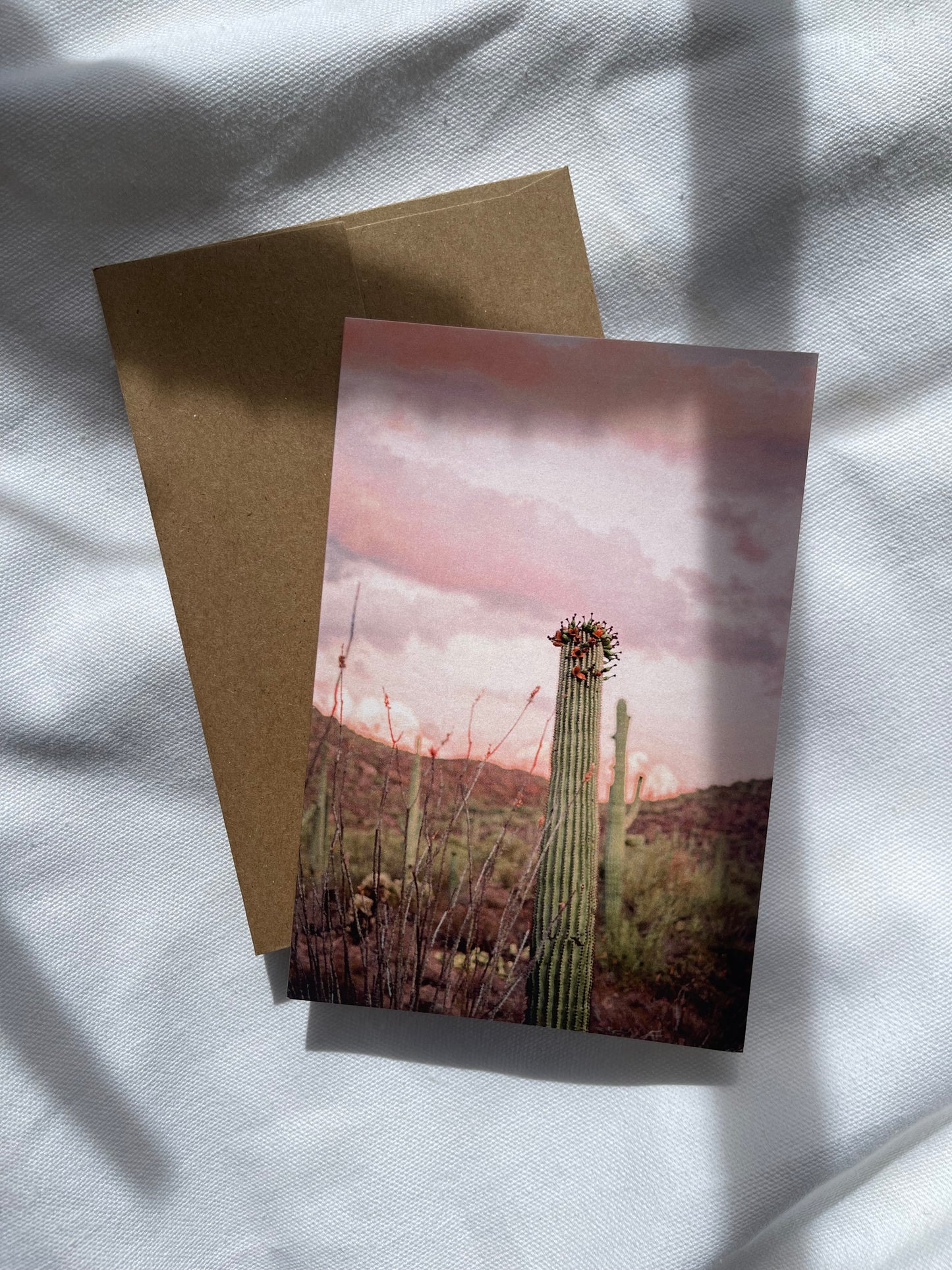 sonoran desert cards | multiple options