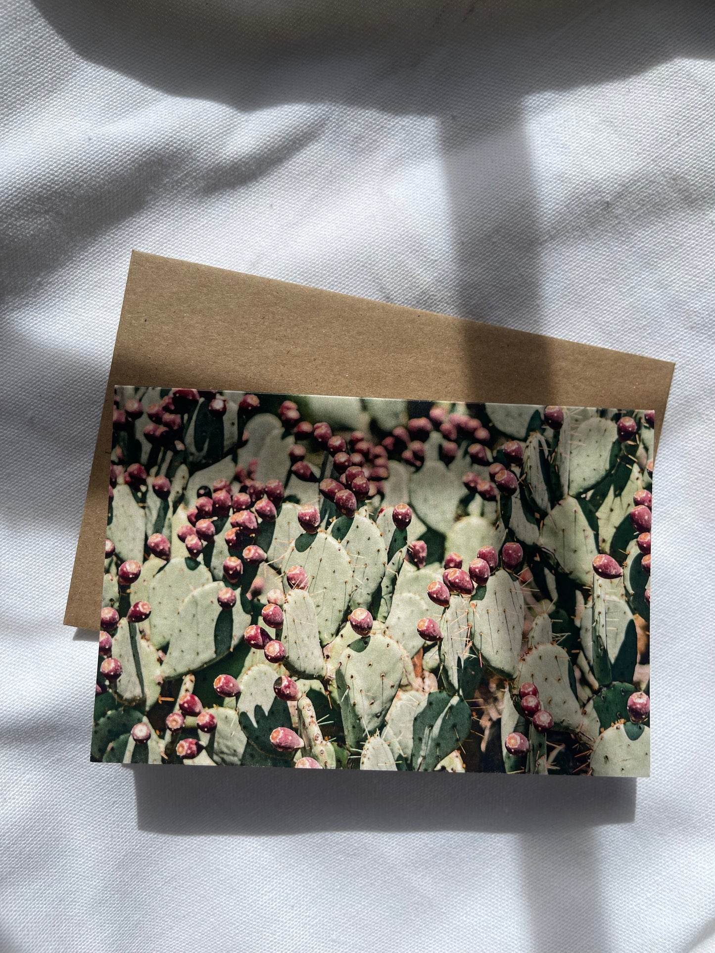sonoran desert cards | multiple options