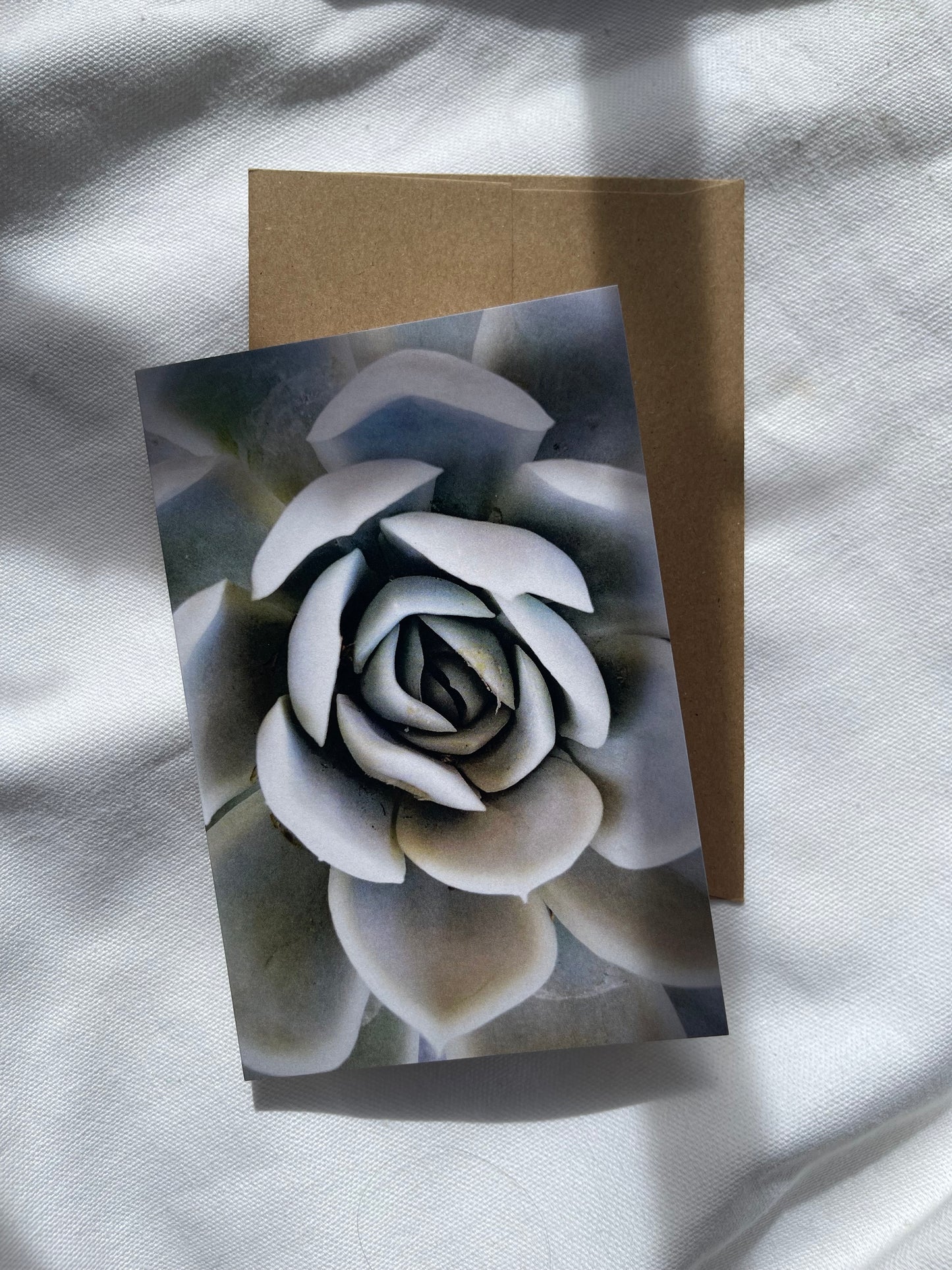 sonoran desert cards | multiple options