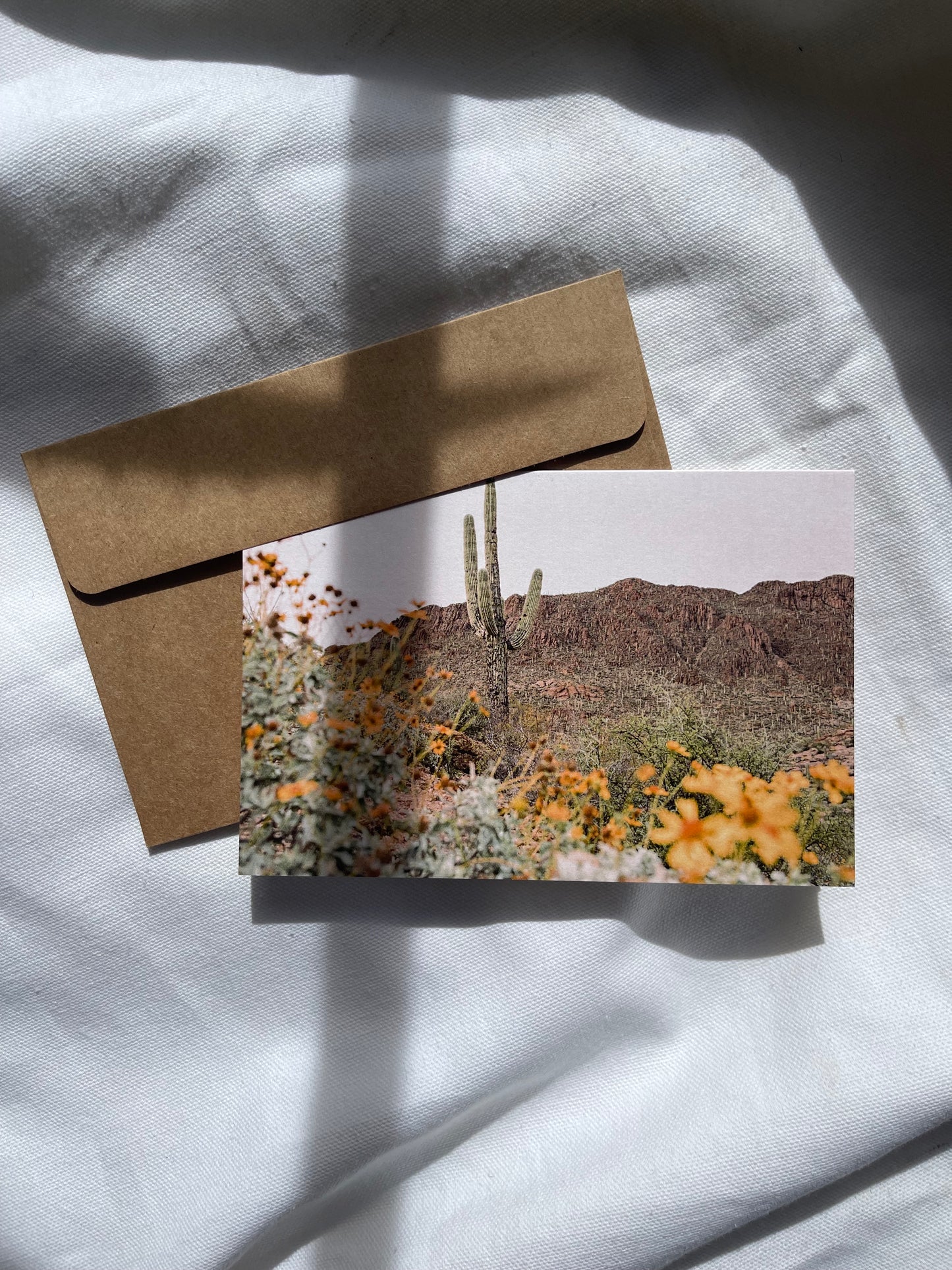 sonoran desert cards | multiple options