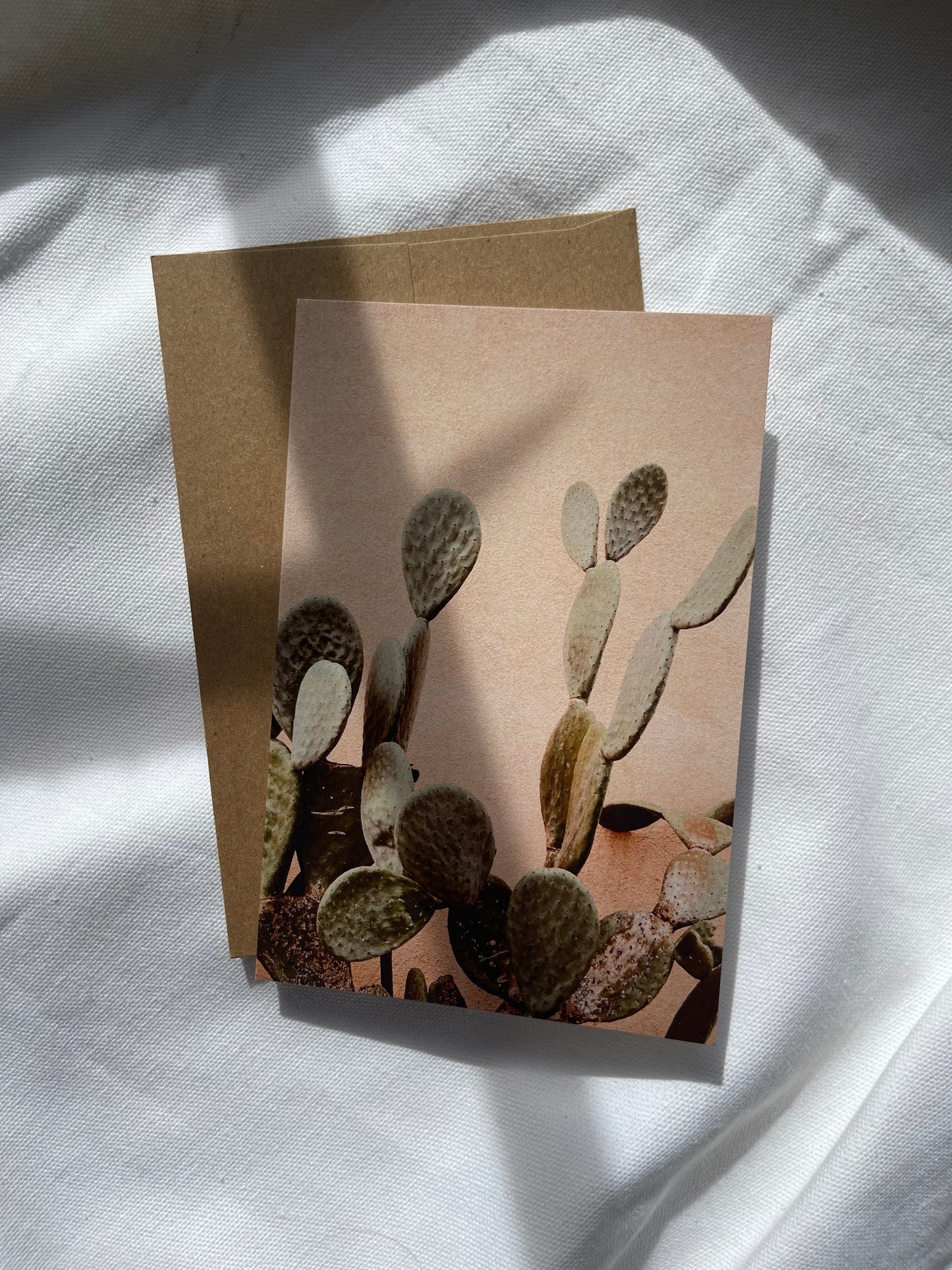 sonoran desert cards | multiple options
