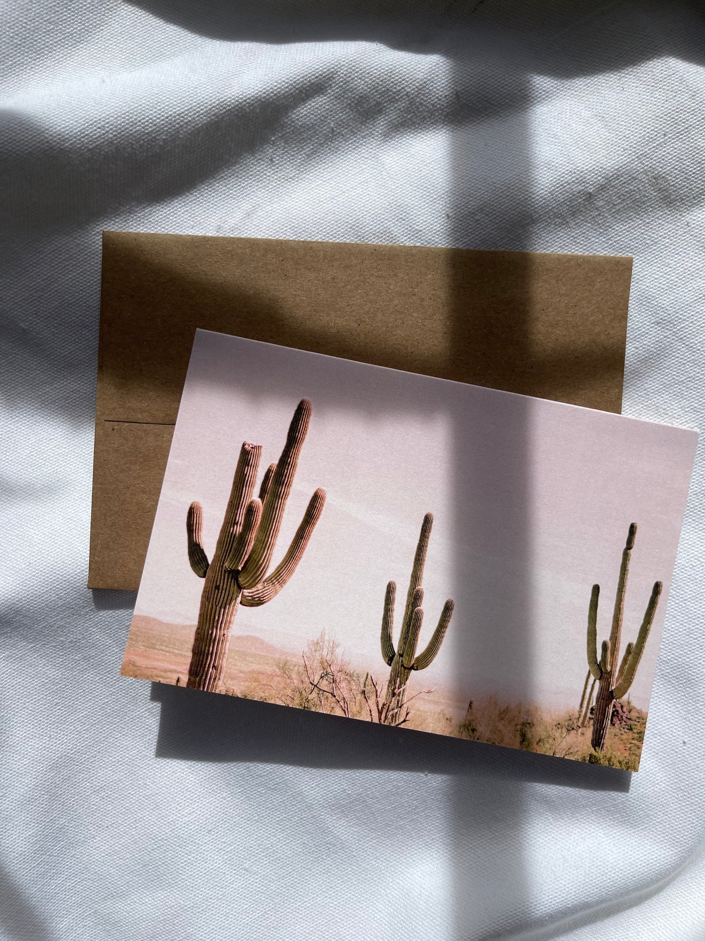 sonoran desert cards | multiple options