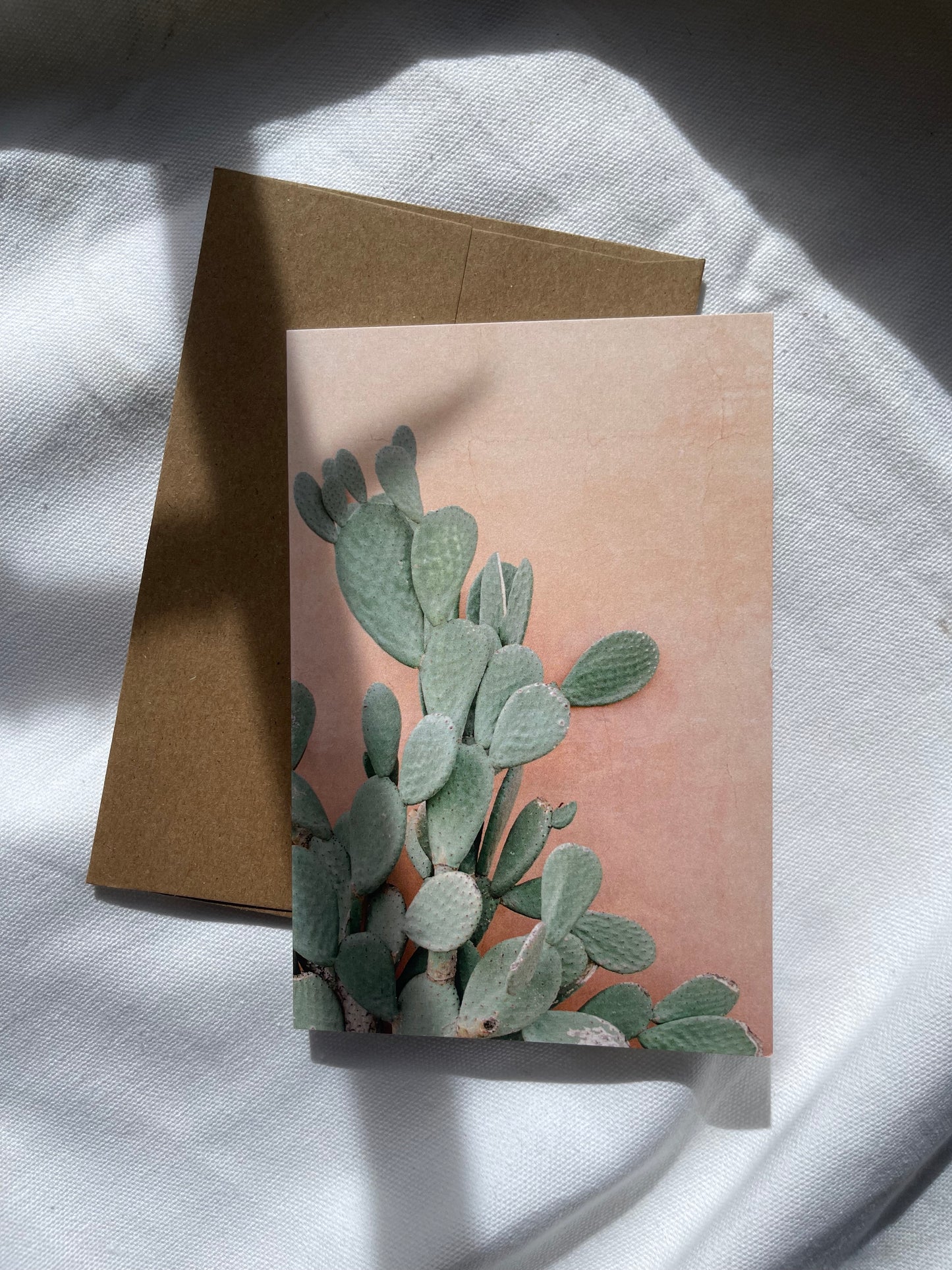 sonoran desert cards | multiple options