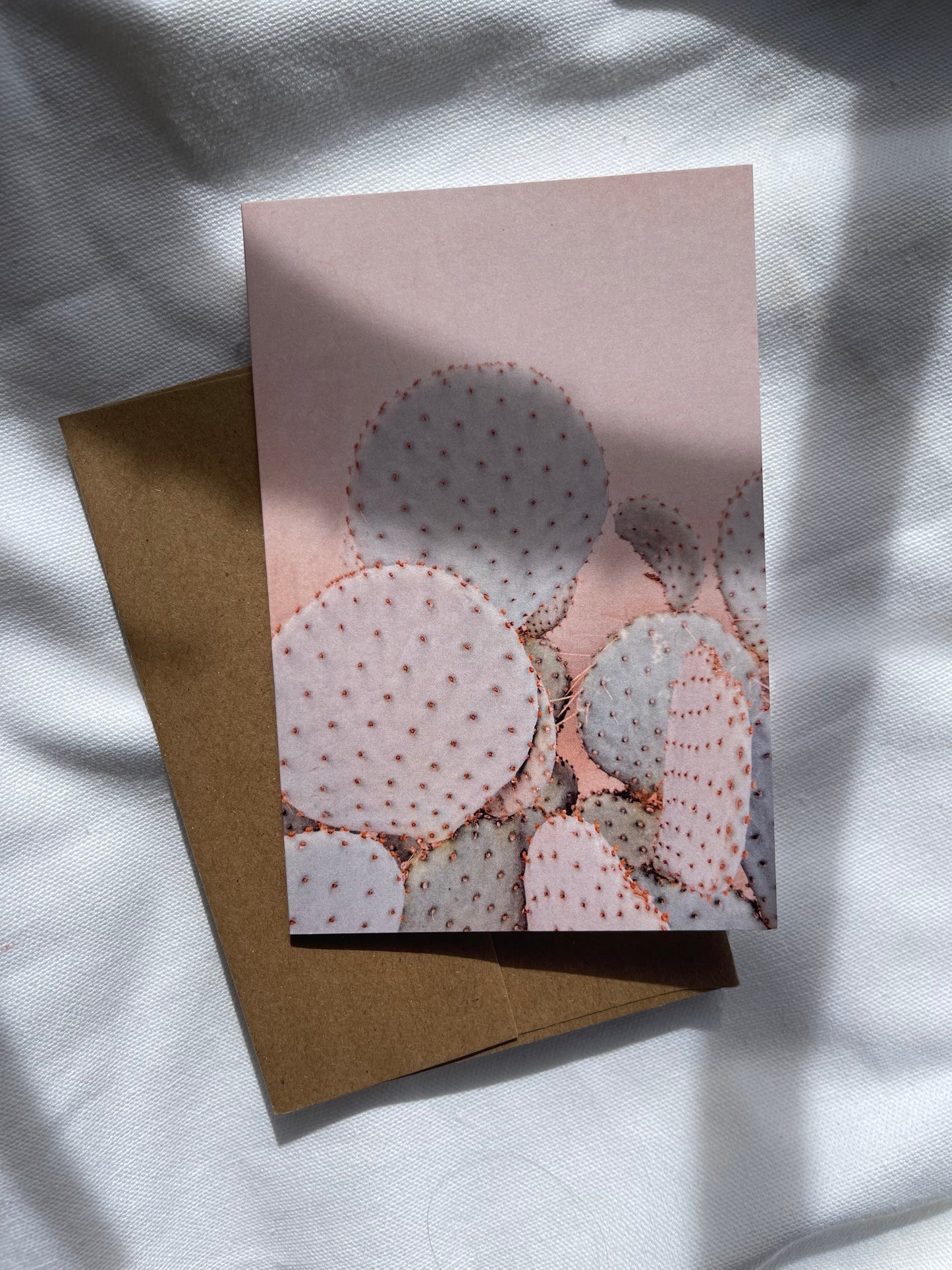 sonoran desert cards | multiple options