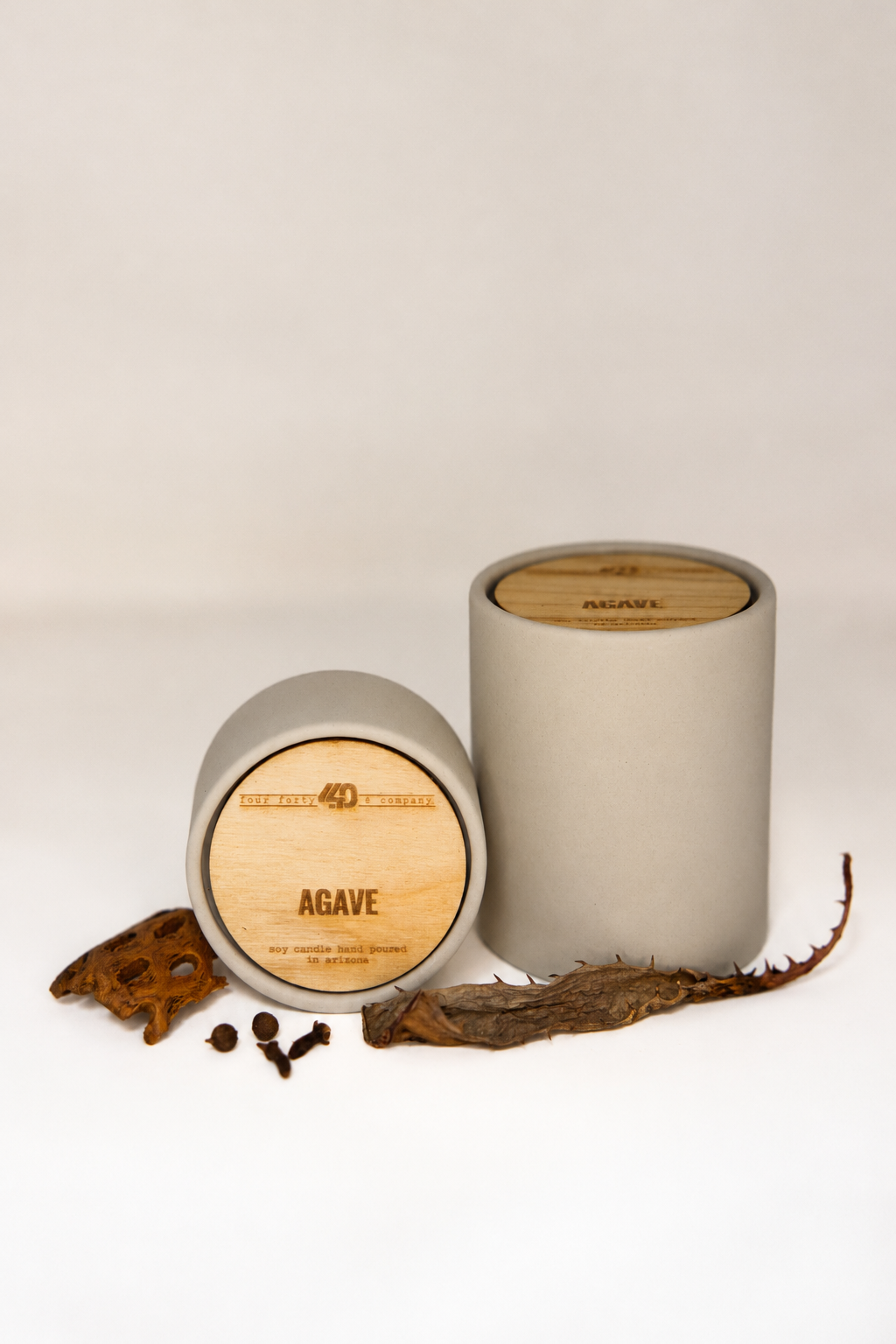 agave candle | multiple options