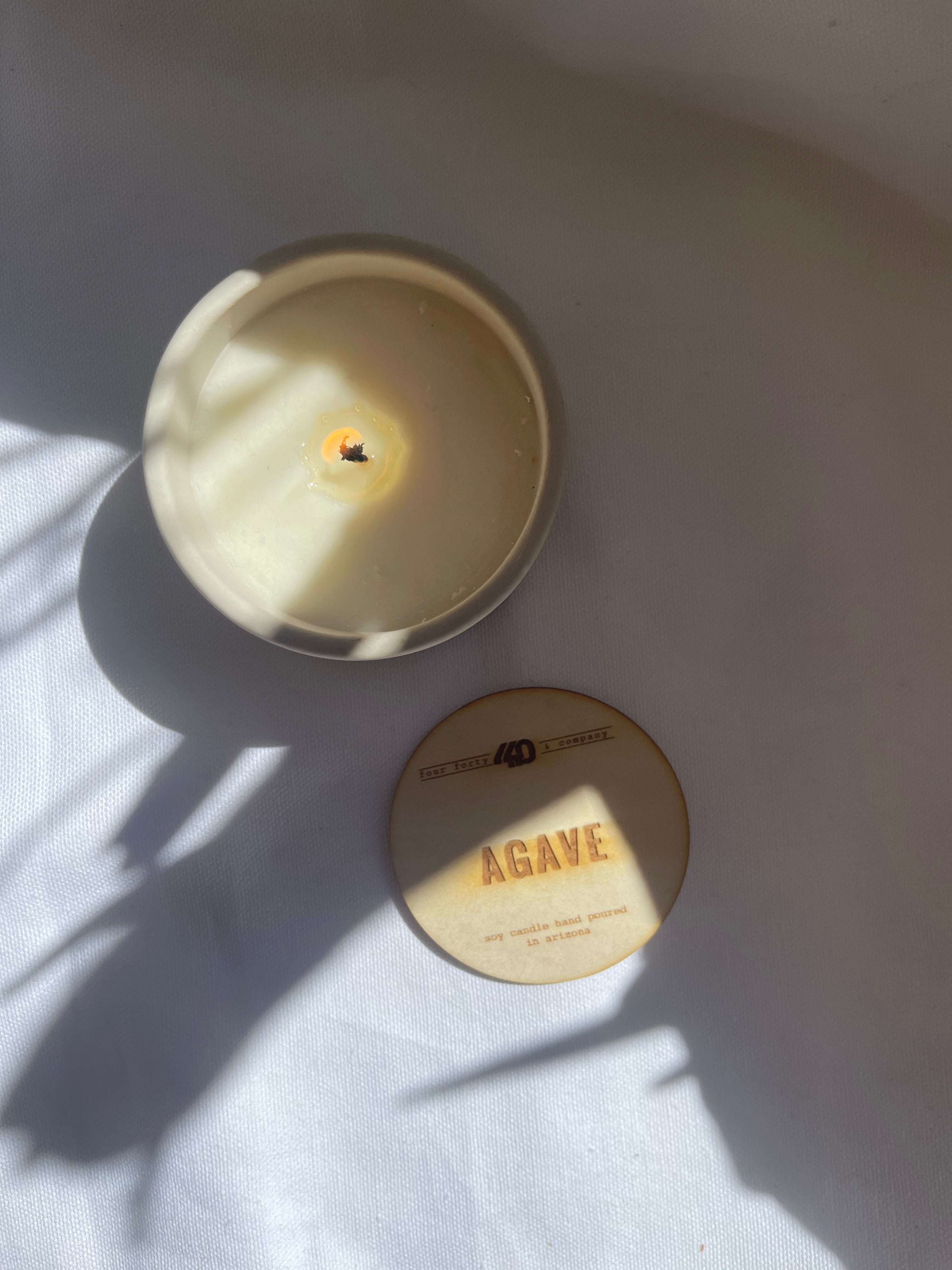 agave candle | multiple options