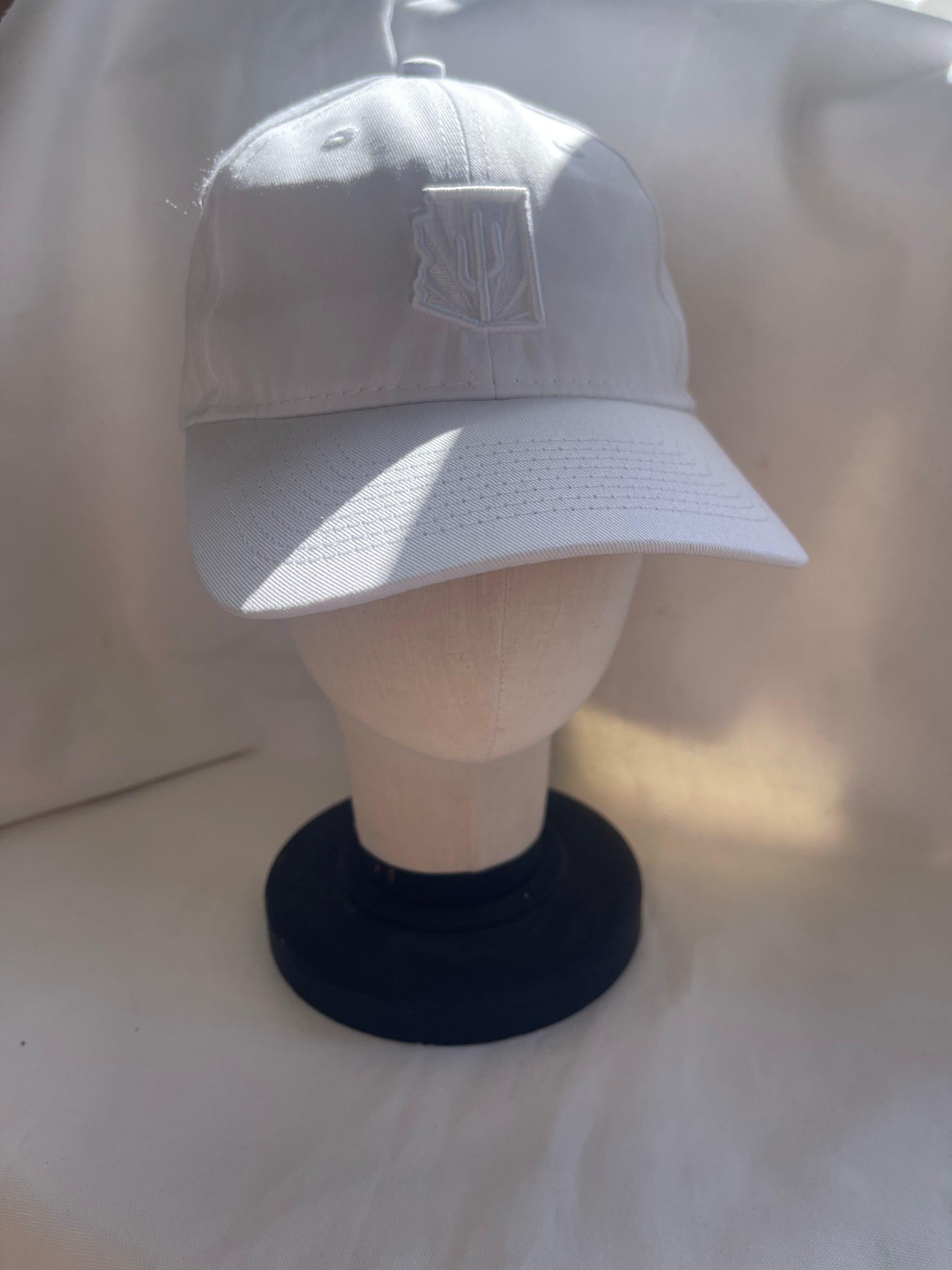 az rays velcro back hat | multiple options