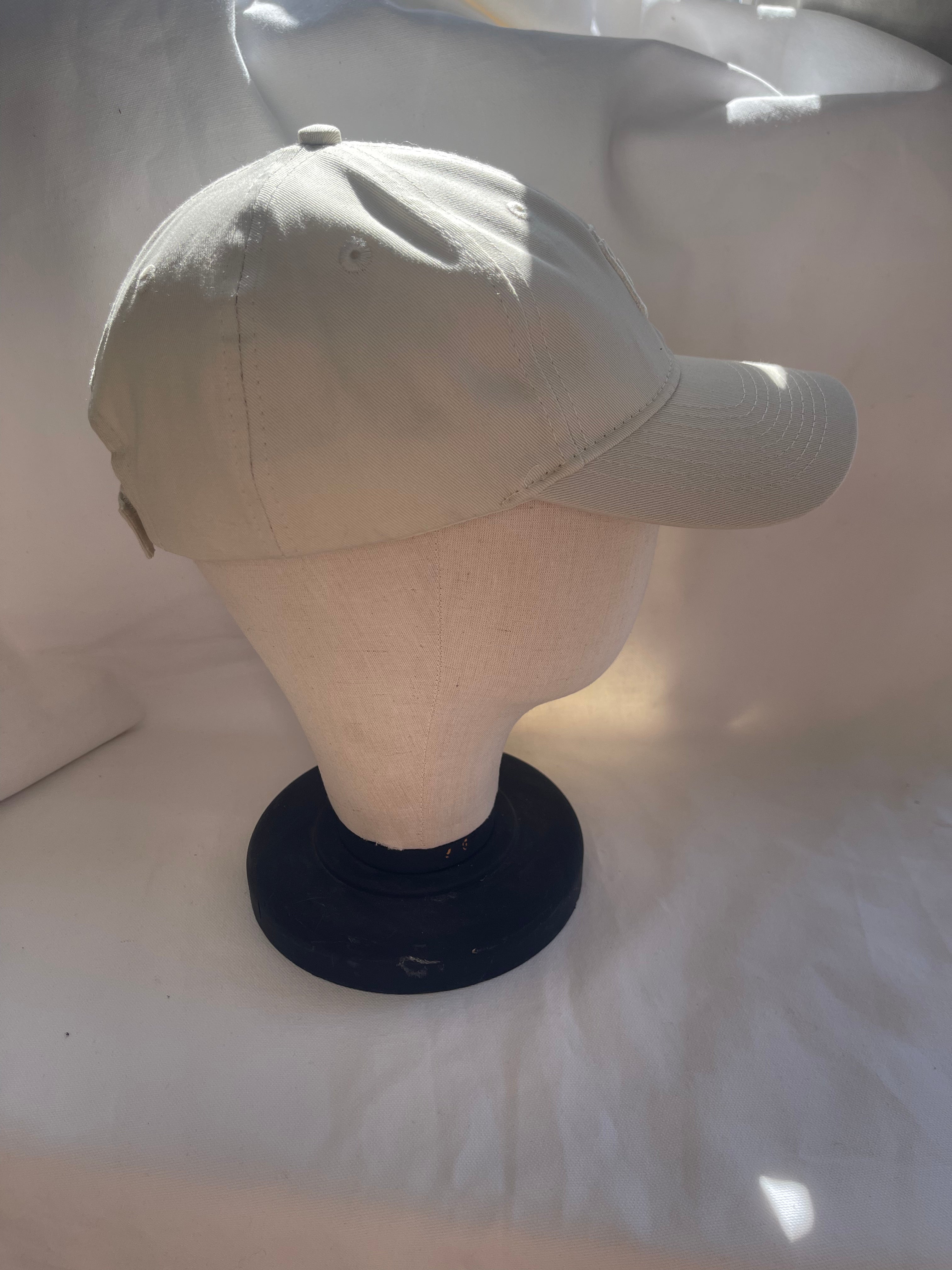 az rays velcro back hat | multiple options
